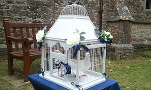 Celebration Doves