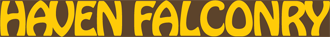 haven falconry logo