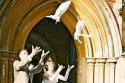 Celebration Doves