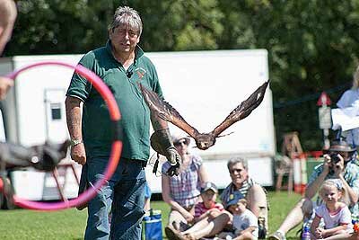 Falconry Party!
