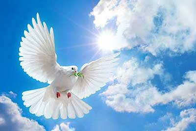 Funerals and Memorials